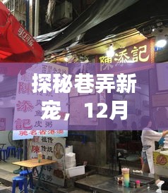 探秘巷弄新宠，隐藏版特色小店，小巷中的网络新宠乐园揭秘