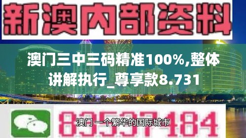 澳门三中三码精准100%,整体讲解执行_尊享款8.731