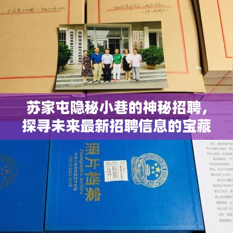 苏家屯隐秘小巷的神秘招聘，宝藏小店探寻最新招聘信息之旅