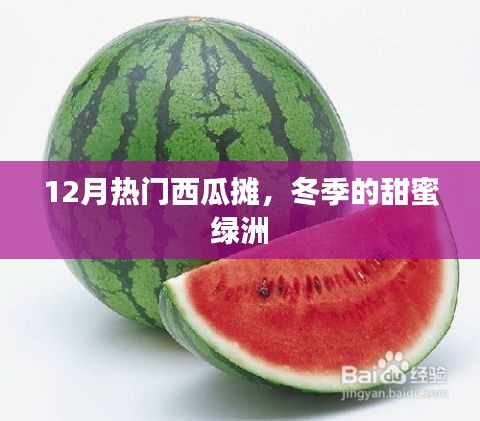 冬季甜蜜绿洲，12月热门西瓜摊