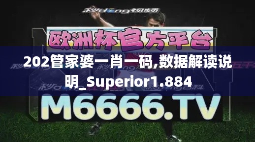 202管家婆一肖一码,数据解读说明_Superior1.884