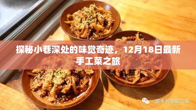 探秘小巷深处的味觉奇迹，最新手工菜之旅（12月18日）