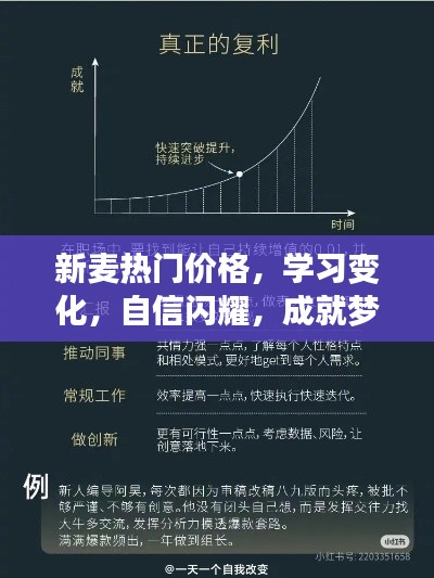 新麦热门价格与学习变化，自信启航，成就梦想之舟