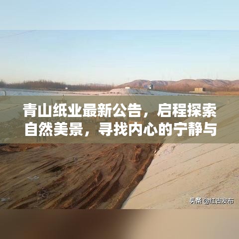 青山纸业探索自然美景之旅，寻找内心的宁静与平和