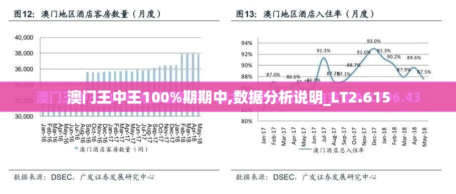 澳门王中王100%期期中,数据分析说明_LT2.615