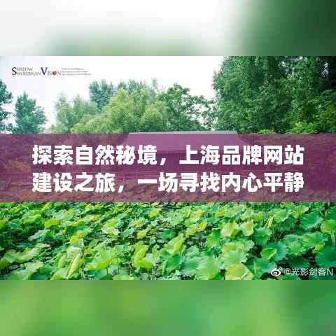 自然秘境与品牌网站，上海之旅的心灵探索之路