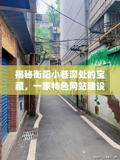 衡阳小巷宝藏，特色网站建设小店的未来展望与传奇故事