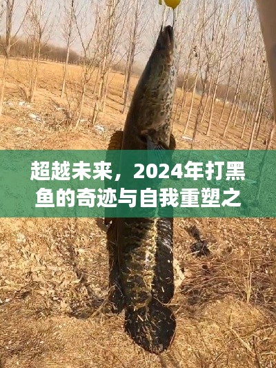 超越未来，2024年黑鱼奇迹与自我重塑之旅