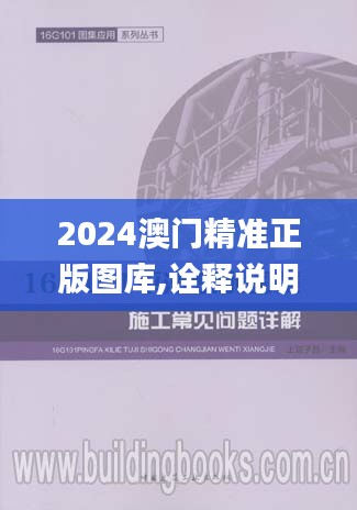 2024澳门精准正版图库,诠释说明解析_YE版8.780