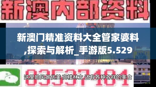 新澳门精准资料大全管家婆料,探索与解析_手游版5.529