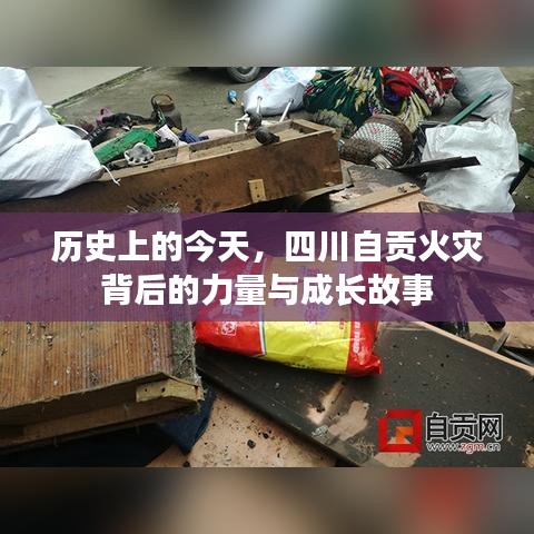 四川自贡火灾背后的力量与成长历程，历史回顾与启示