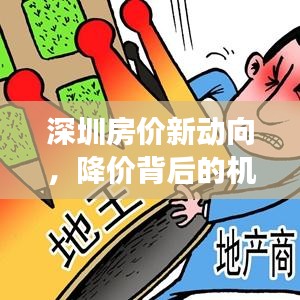 深圳房价新动向揭秘，降价背后的机遇与挑战——顺应变化，自信铸就成就之路