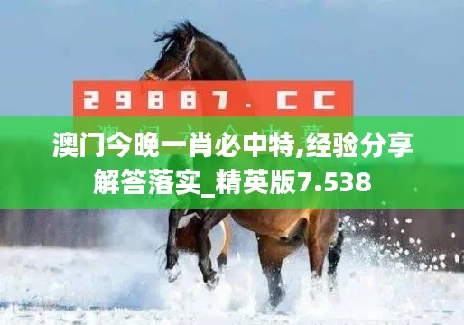 澳门今晚一肖必中特,经验分享解答落实_精英版7.538