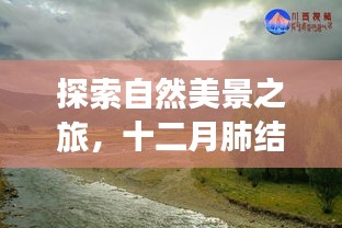 自然探索之旅与肺结核最新治疗，宁静之道的十二月心灵之旅