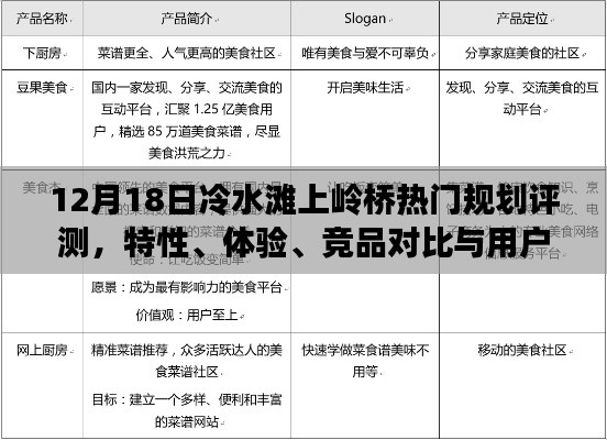 12月18日冷水滩上岭桥规划评测，特性、体验、竞品对比及用户分析全解析