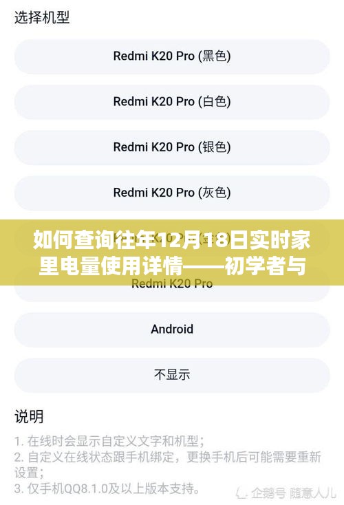 如何查询往年12月18日家中电量使用详情，初学者与进阶用户指南