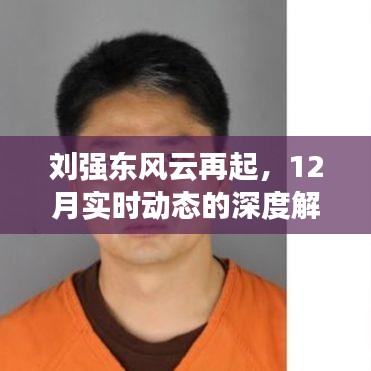 刘强东风云再起，深度解读与剖析十二月实时动态