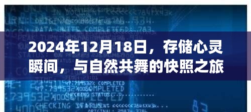 心灵与自然共舞的快照之旅，定格时光于2024年12月18日