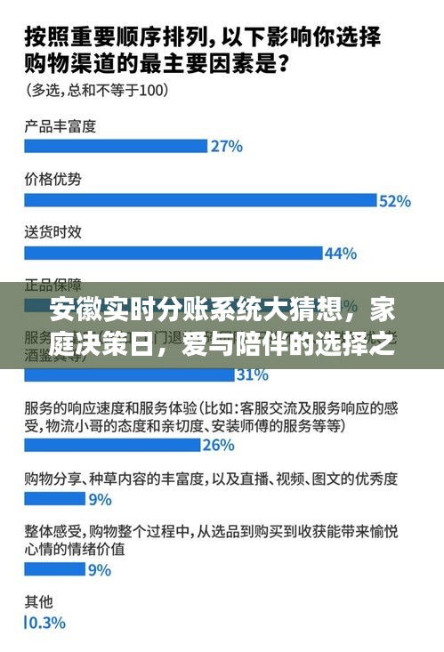 安徽实时分账系统，家庭决策日与爱的选择之旅