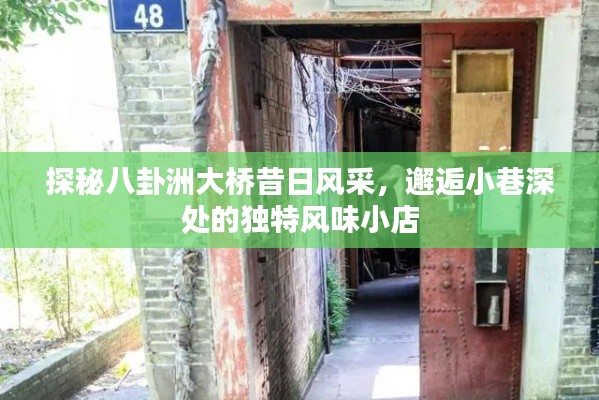 八卦洲大桥与小巷风味小店的独特魅力探秘