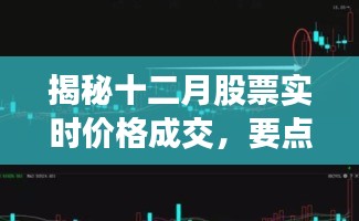 揭秘十二月股票实时交易行情，价格、成交、趋势洞察全解析