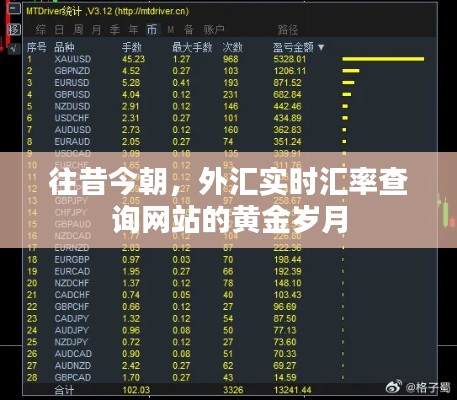 往昔今朝，外汇实时汇率查询网站的黄金时代