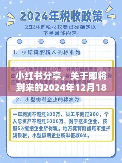 小红书分享，2024年12月18日税费实时扣款详解指南