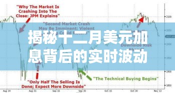 揭秘十二月美元加息背后的经济动因与实时波动原因分析