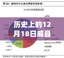 威县疫情实时数据深度分析，历史视角的12月18日观察与观点阐述