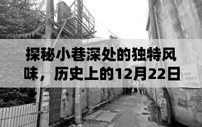 探秘小巷深处的独特风味，历史上的十二月二十二日实时生产日报揭秘