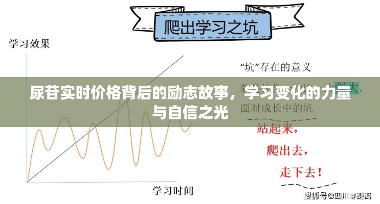 尿苷实时价格背后的励志故事，变化的力量与自信之光