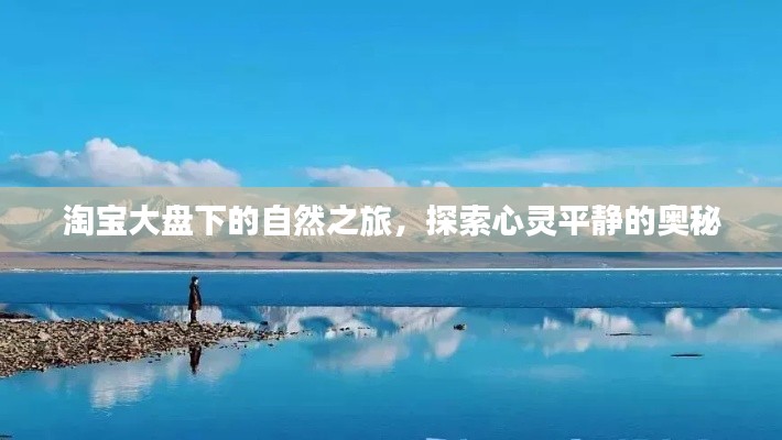 淘宝大盘下的心灵之旅，探寻自然与平静的奥秘