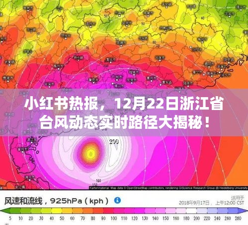 小红书热报，浙江省台风实时路径大揭秘，12月22日动态更新！