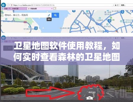 卫星地图软件教程，实时查看森林地图的初学者与进阶用户指南