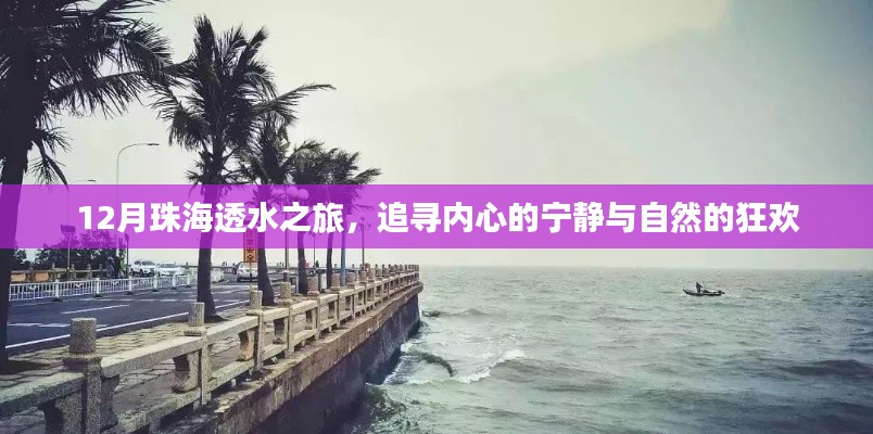 12月珠海之旅，探寻内心宁静与自然狂欢的透水之旅