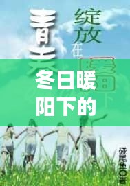 冬日暖阳下的特殊行情友情故事，2024年12月22日的温馨时光