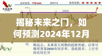 2024年12月24日 第13页