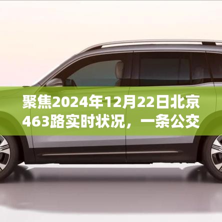 北京公交463路变迁与观点碰撞，聚焦实时状况与未来展望（2024年12月22日）