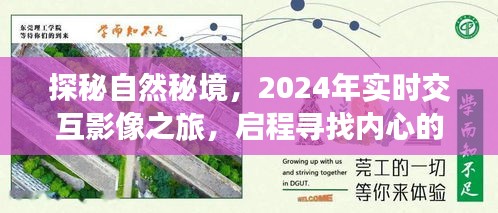 探秘自然秘境，启程寻找内心的宁静与欢笑——实时交互影像之旅 2024