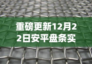 重磅更新，安平盘条实时报价，洞悉市场脉动，投资先机尽在掌握！