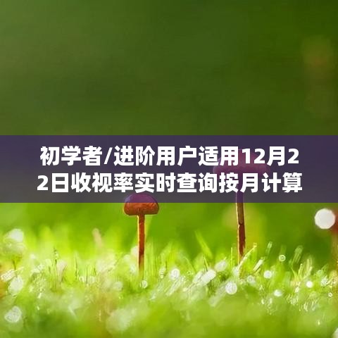 12月22日收视率实时查询与计算步骤指南，适合初学者与进阶用户参考