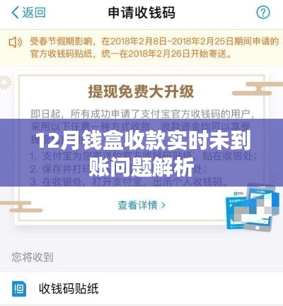 钱盒收款实时未到账问题解析与解决方案