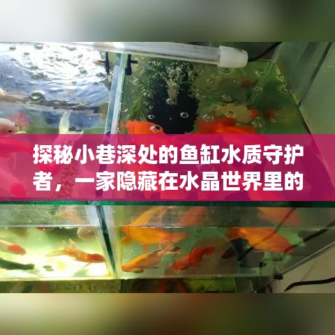 探秘小巷深处的神秘鱼缸小店，守护水晶世界的水质传奇