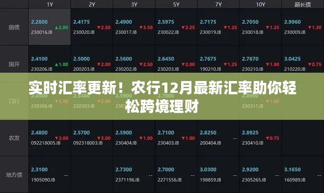 农行实时汇率更新，最新汇率助你跨境理财无障碍