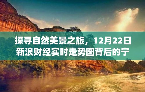 探寻自然美景之旅，新浪财经实时走势图背后的宁静力量（12月22日）