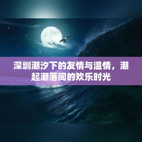 深圳潮汐间的友情与欢乐时光