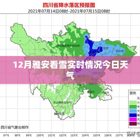 2024年12月26日 第10页