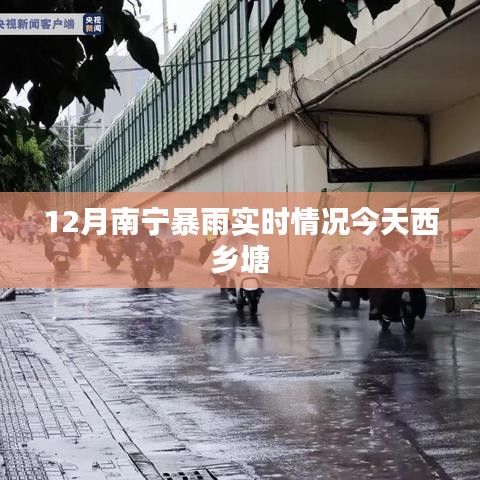 南宁西乡塘暴雨实时更新，今日暴雨情况分析