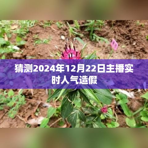 主播人气造假揭秘，预测未来日期背后的真相