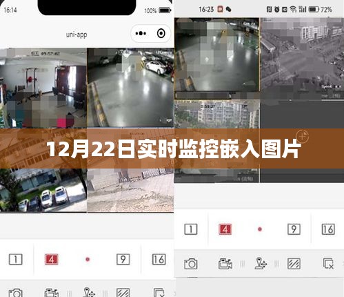 12月22日实时图片监控动态展示